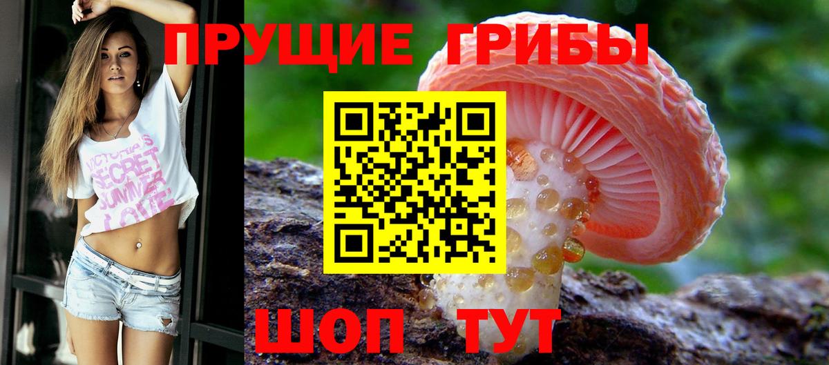 Галлюциногенные грибы мухоморы  Вход с VPN  Псилоцибиновые грибы ЛСД  Долгопрудный 